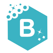 Lauren Paige Bedding